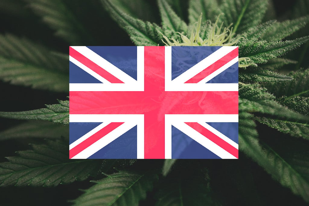 Buiten Cannabis Kweken In Het VK: Maandelijkse Gids [2021]