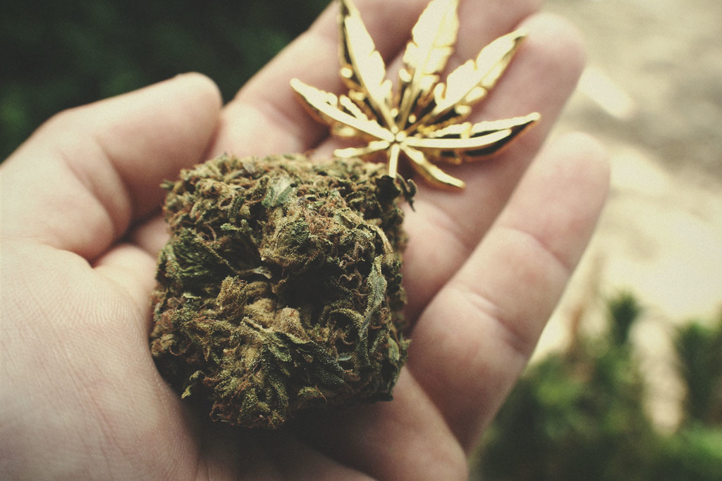 Wat beschouwen we als THC-rijke wiet?