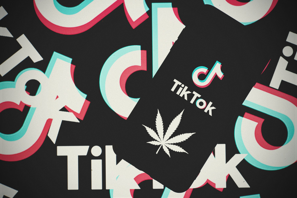 6 TikTok accounts om stoned te bekijken