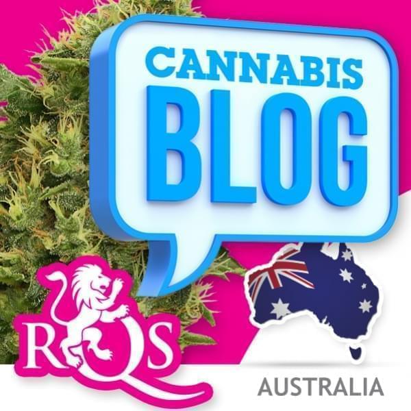 Cannabis in Australië