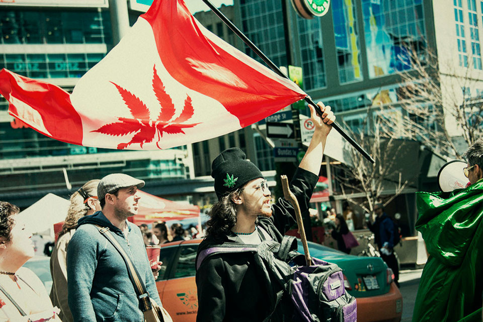 Legale cannabis in Canada: Een jaar later (2020 update) 