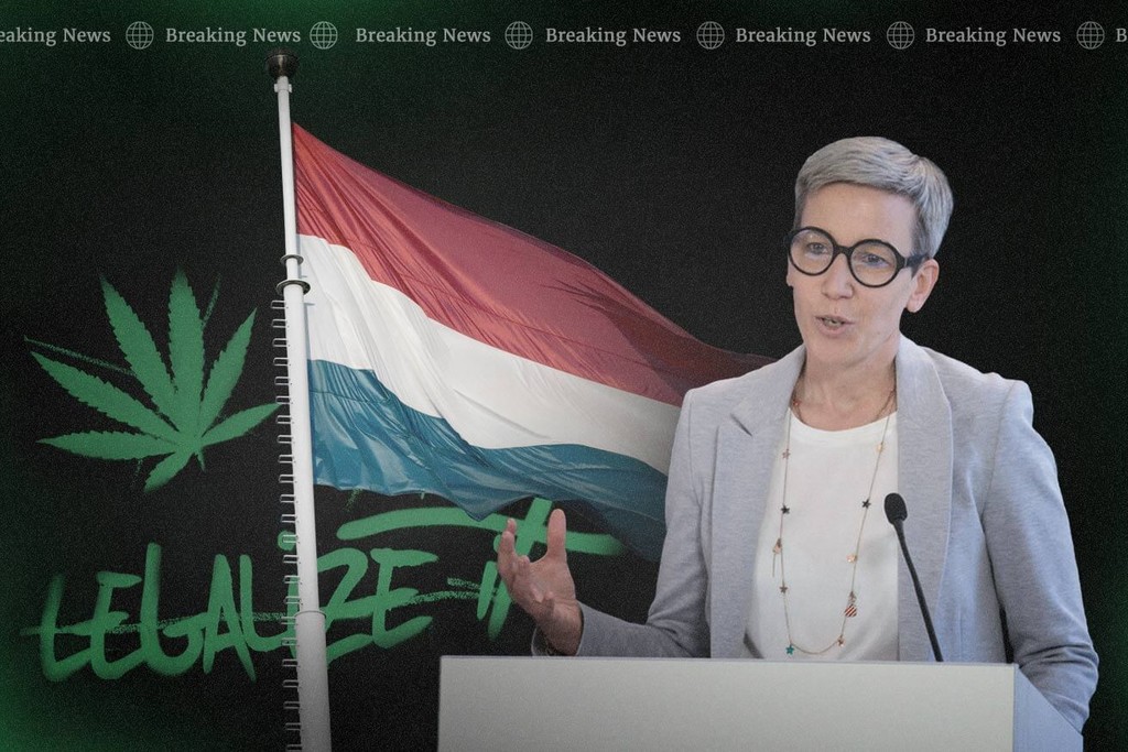 Cannabishervormingen: Luxemburg legaliseert thuiskweek