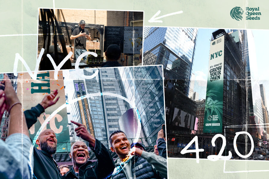 We vierden 420 samen met Mike Tyson: gekkenhuis bij RQS!