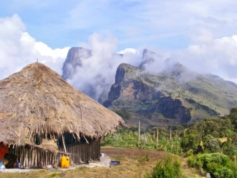 Cannabis in Ethiopië