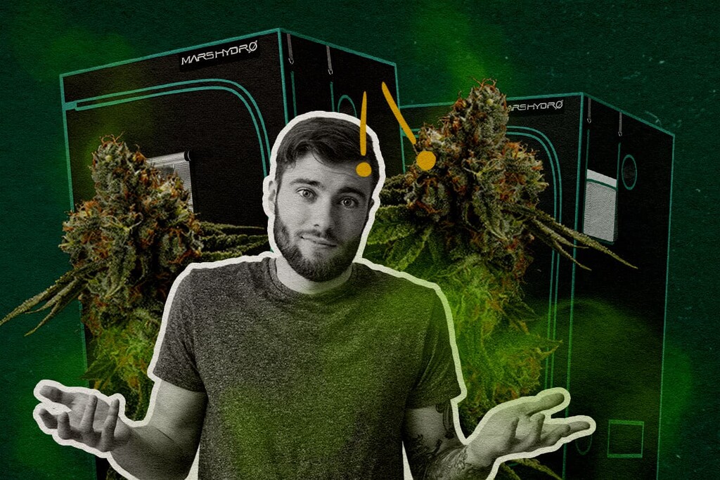 Is een kweektent geurbestendig? Wat je echt moet weten