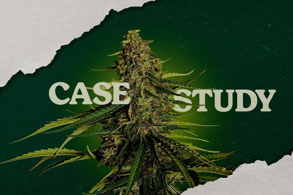 Gaia F1 casestudy: kokos vs steenwol voor maximale opbrengsten