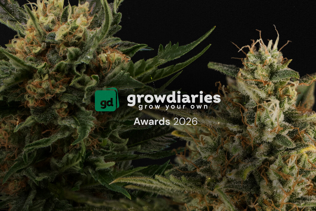 Royal Queen Seeds wint 4 grote titels bij de GrowDiaries Awards 2026