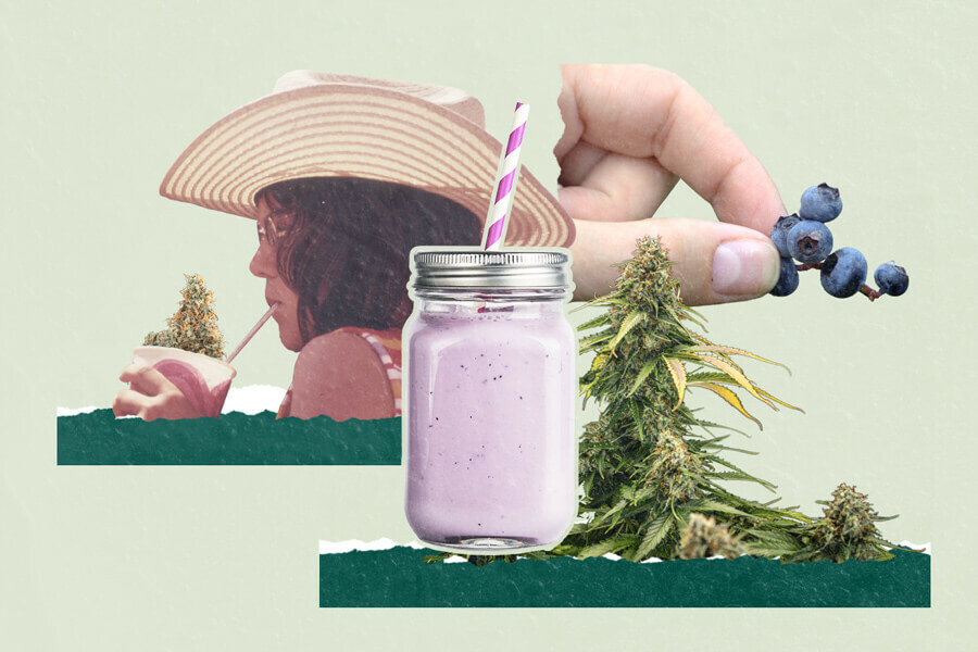 Smoothies met cannabis en bosbessen: 3 unieke recepten