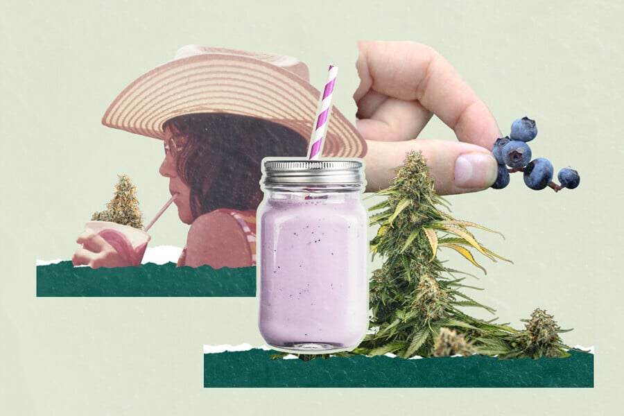 Smoothies met cannabis en bosbessen: 3 unieke recepten