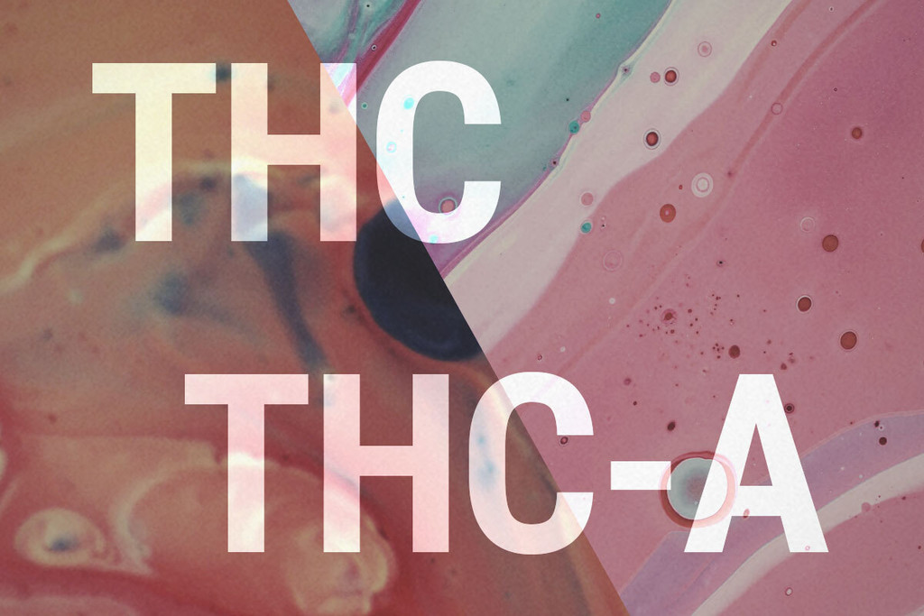 THCA en THC: Wat Zijn de Verschillen? 
