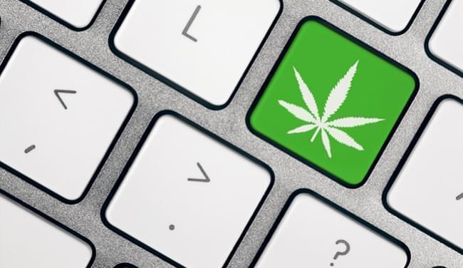 Royal Queen Seeds zoekt meer vertalers!