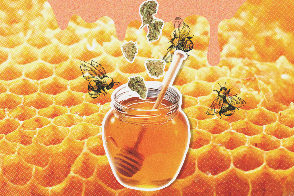 Hoe maak je met honing verrijkte cannabistinctuur?