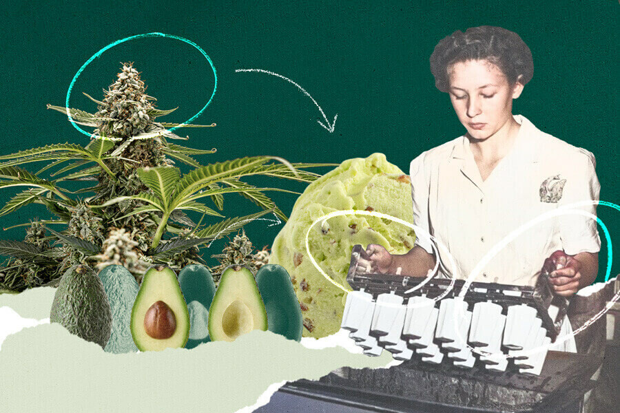 Recept: ijs met wiet, munt, avocado en chocolade