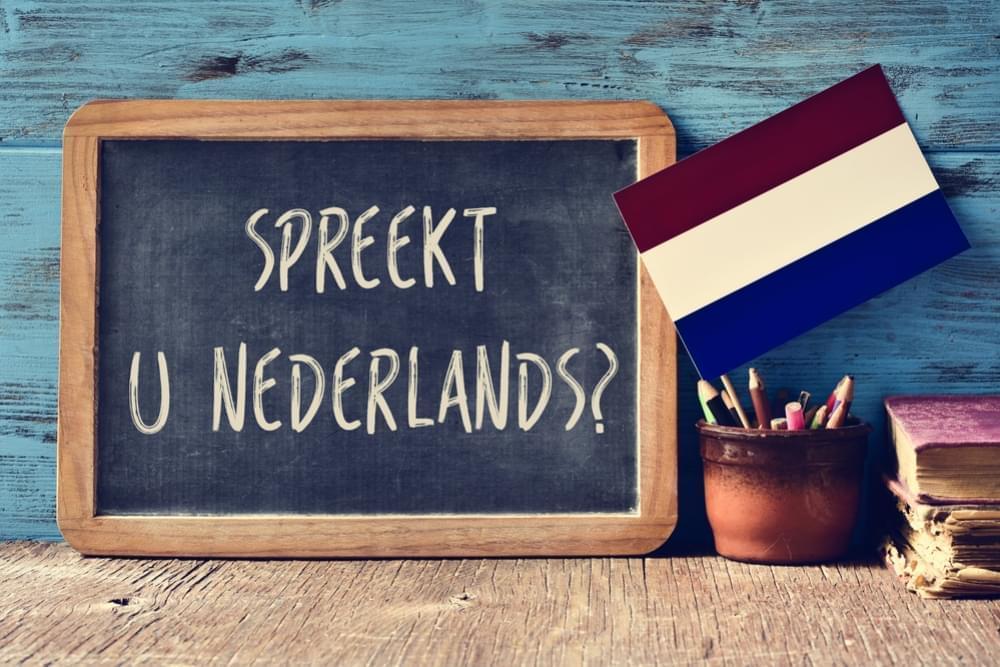 Wij Zoeken Een Nederlandse Vertaler!