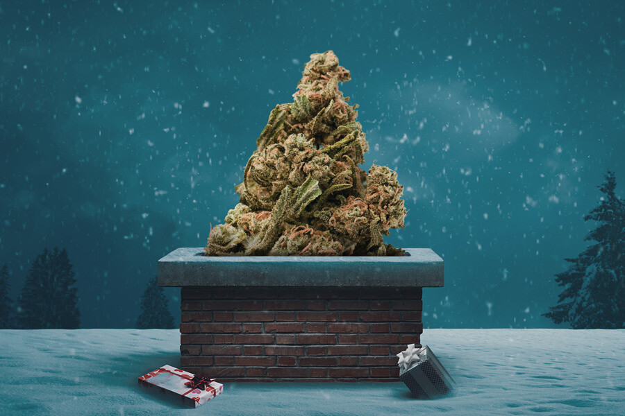 Top 5 cannabis strains voor Kerstmis 2023