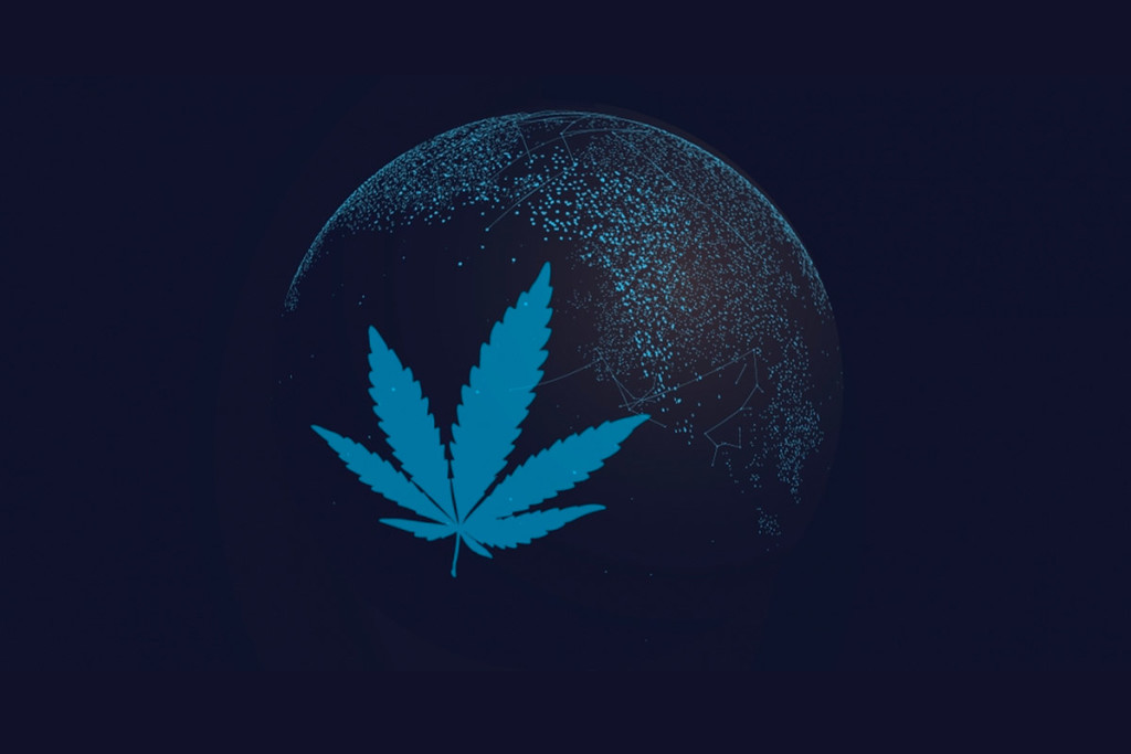 De Bonte Groep Van Landen Die Het Meeste Cannabis Gebruiken