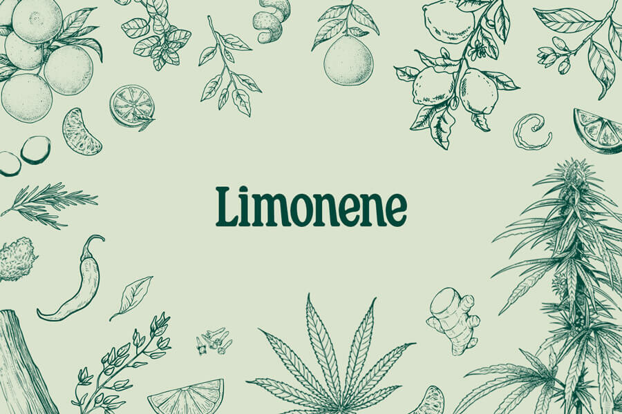 Limoneen: een verfrissende terpeen met enorme potentie