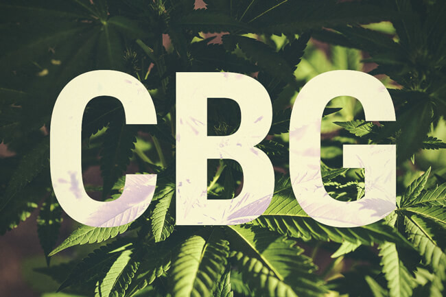 Wat is Cannabigerol (CBG)?