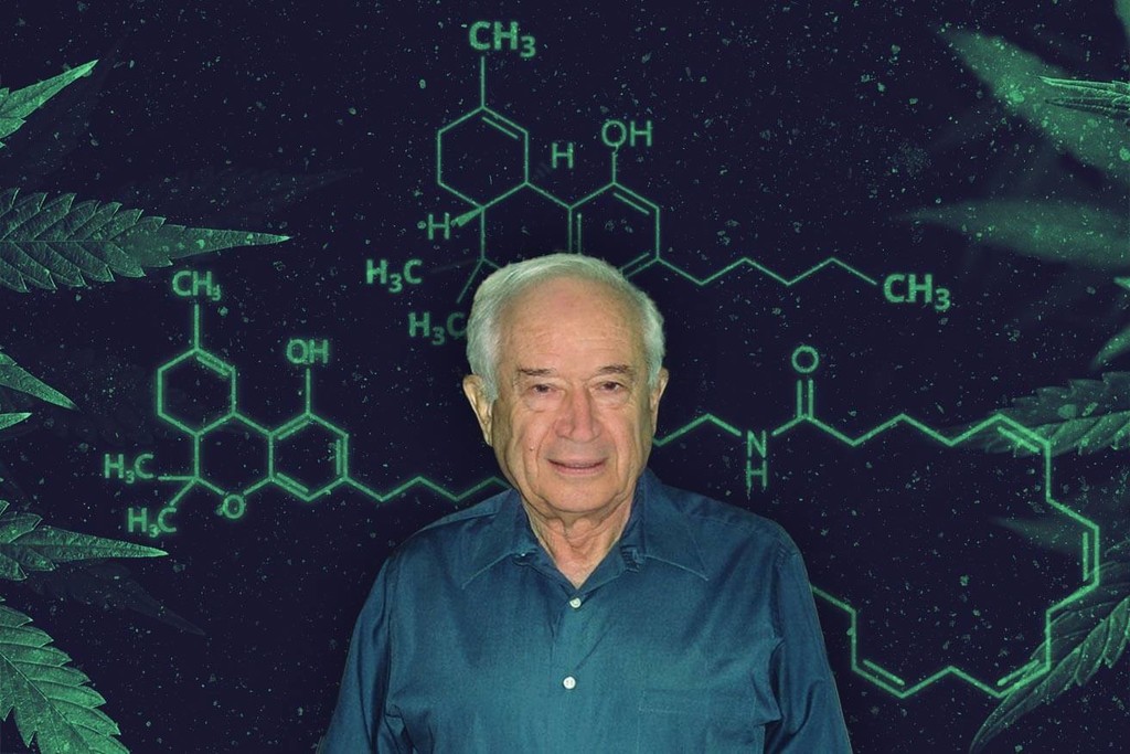 Dr. Mechoulam: een eerbetoon aan de vader van het cannabisonderzoek