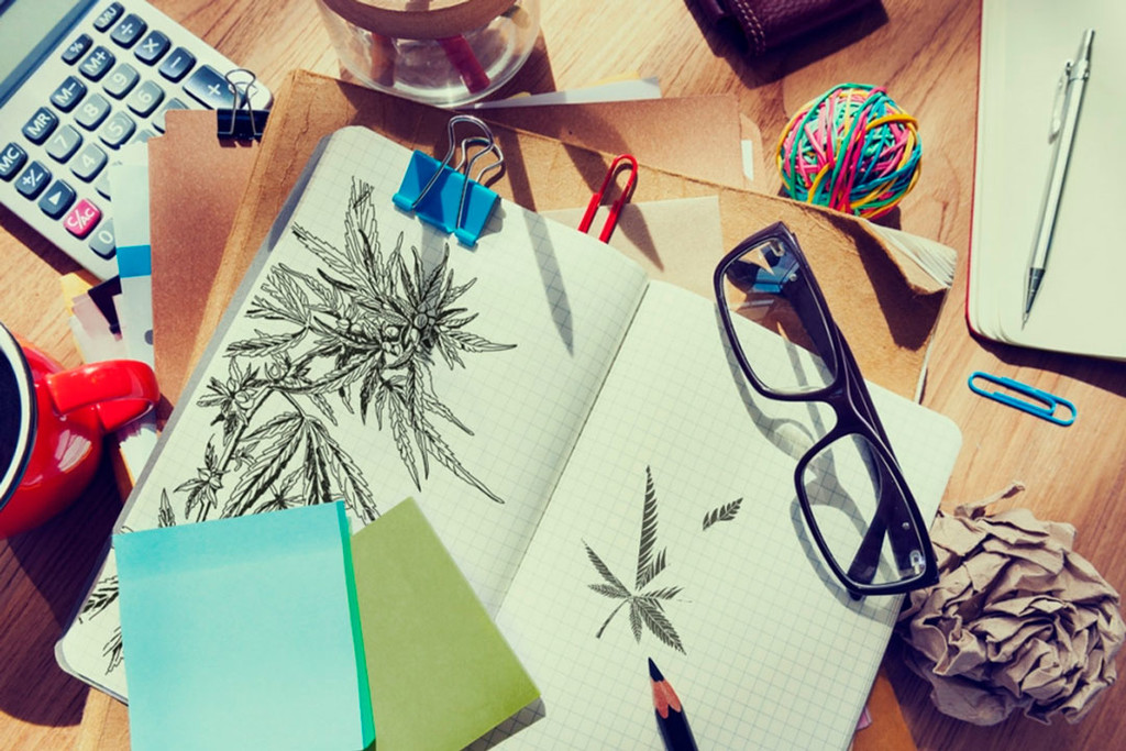 Vind Je Droombaan In De Duitse Cannabisindustrie