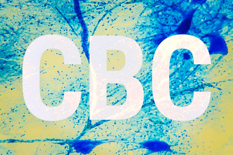 Cannabichromene (CBC): De Derde Meest Voorkomende Cannabinoïde