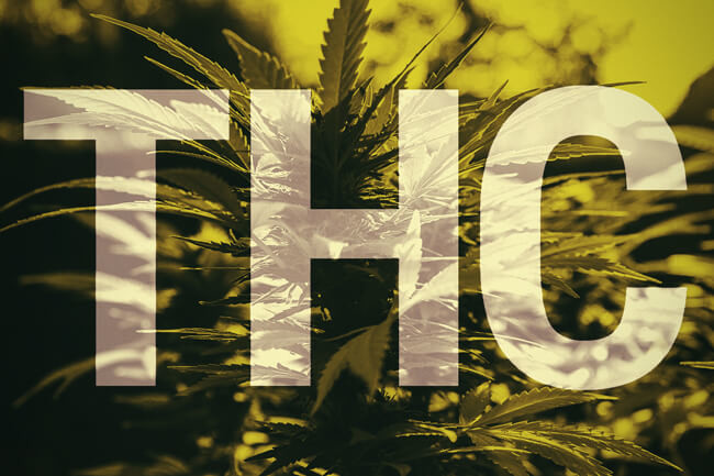 Wat is THC ?