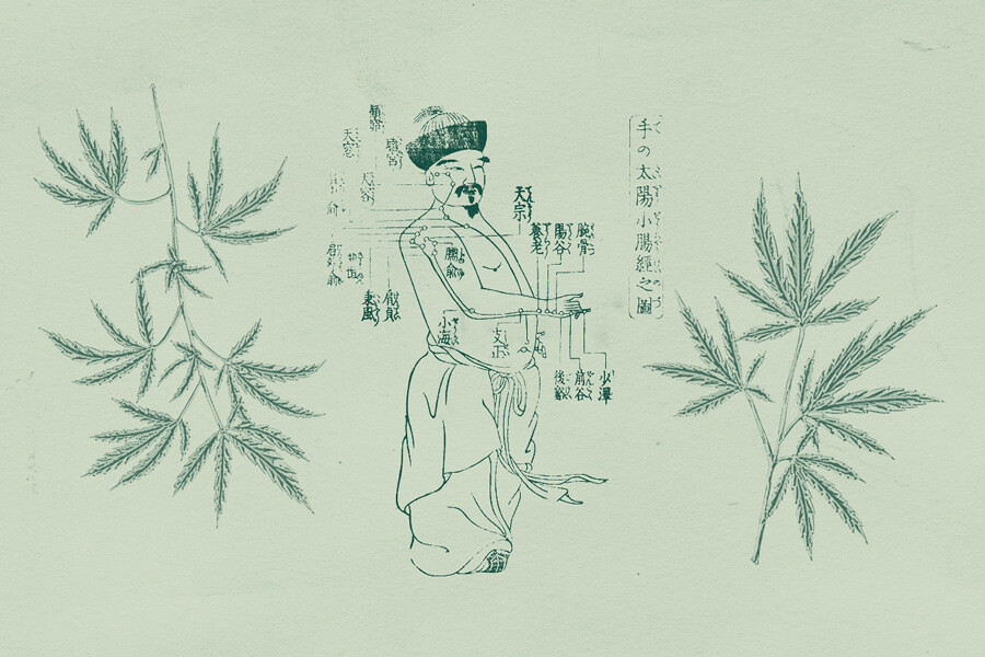 Cannabisgebruik in de traditionele Chinese geneeskunde