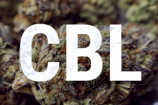 Cannabicyclol: Lees Meer Over De Basisprincipes Van Cannabinoïden