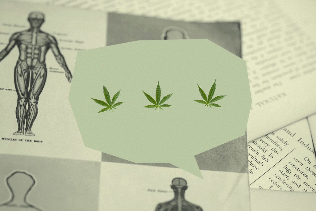 7 Tips Om Wiet Of CBD Met Je Huisarts Te Bespreken
