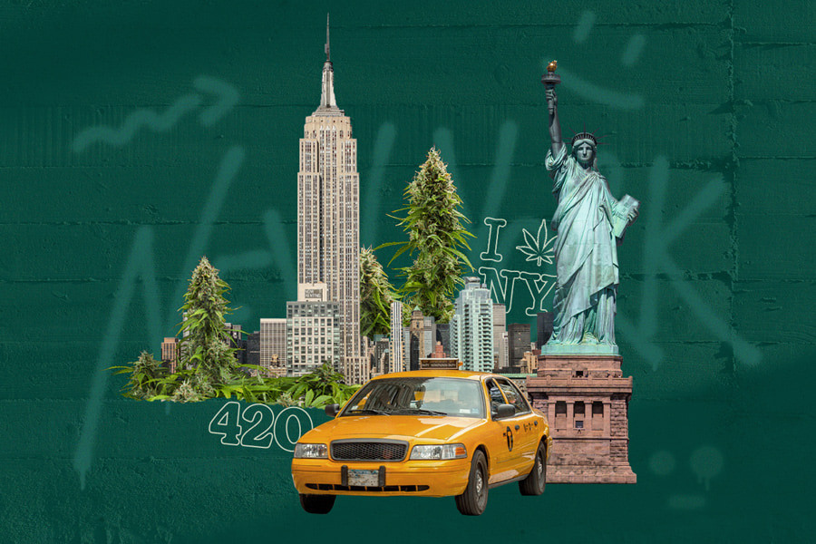 Legale thuiskweek van wiet in New York: het laatste nieuws