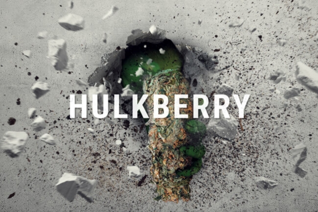 HulkBerry: De Kush Met Het Sativa Alter Ego