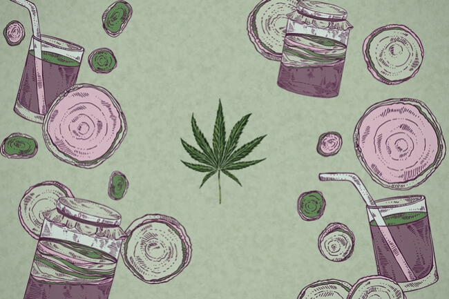 Wat Is Cannabis Komboecha En Hoe Maak Je Het?