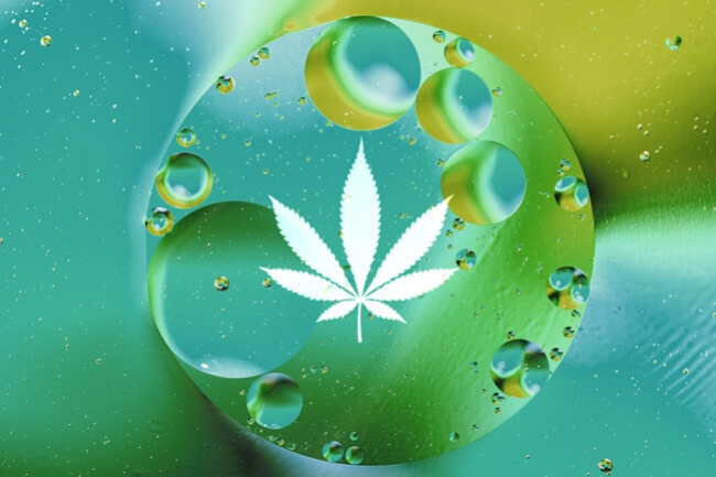Dissolved Oxygen: De Sleutel Voor Gigantische En Gezonde Cannabisplanten