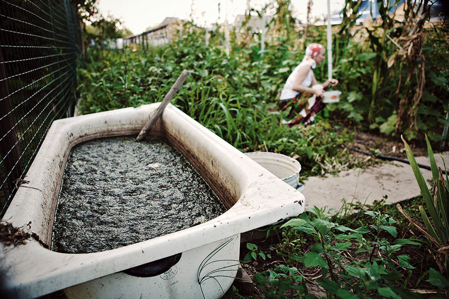 Hoe Gebruik Je Compostthee Om Je Wietplanten Te Voeden? 