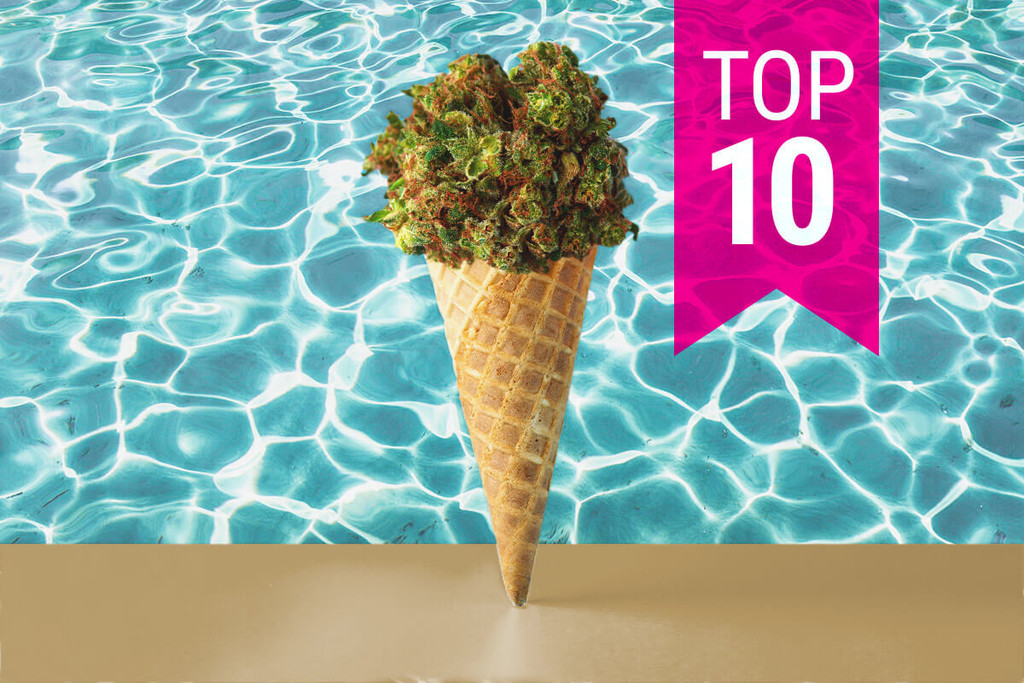Top 10 soorten om deze zomer high en stoned te worden
