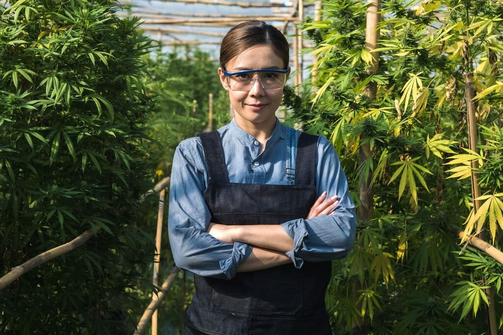 8 van de meest invloedrijke vrouwen in de cannabisindustrie