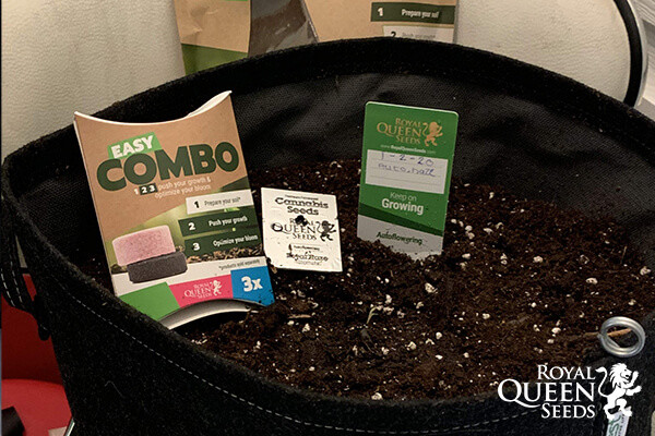 Easy Combo Booster Pack