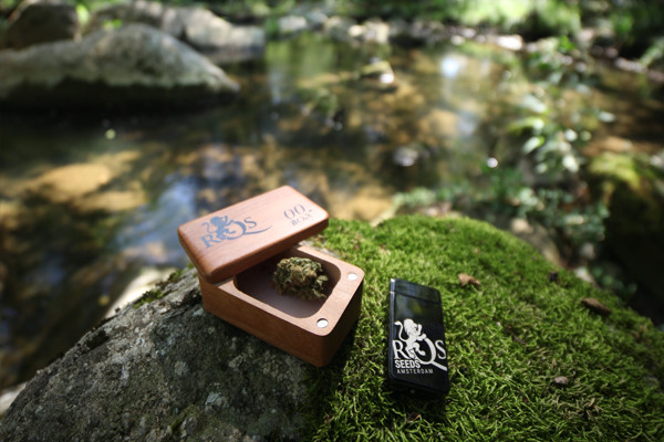 Plasma Aansteker RQS Plasma Aansteker RQS